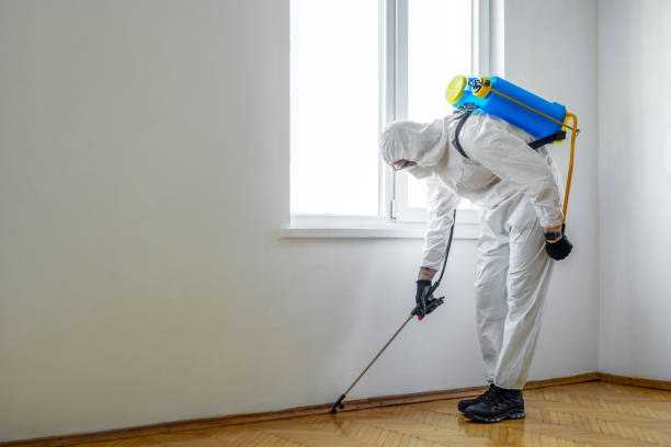 Best Residential Pest Control  in Koontz Lake, IN